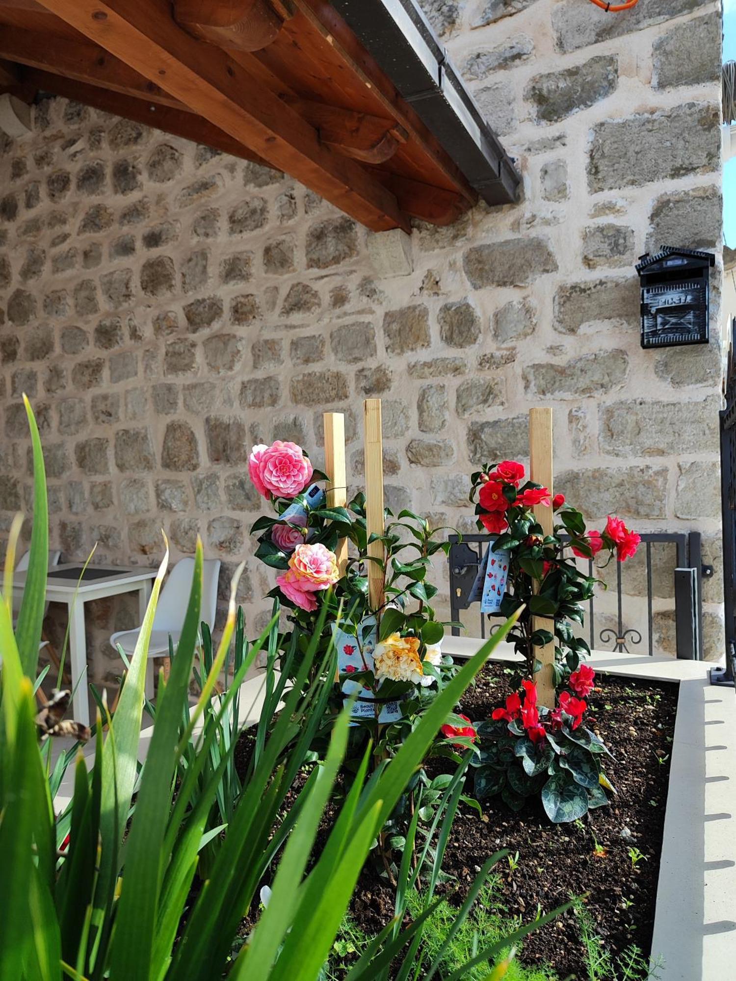 Apartments Harriete Dubrovnik Kültér fotó
