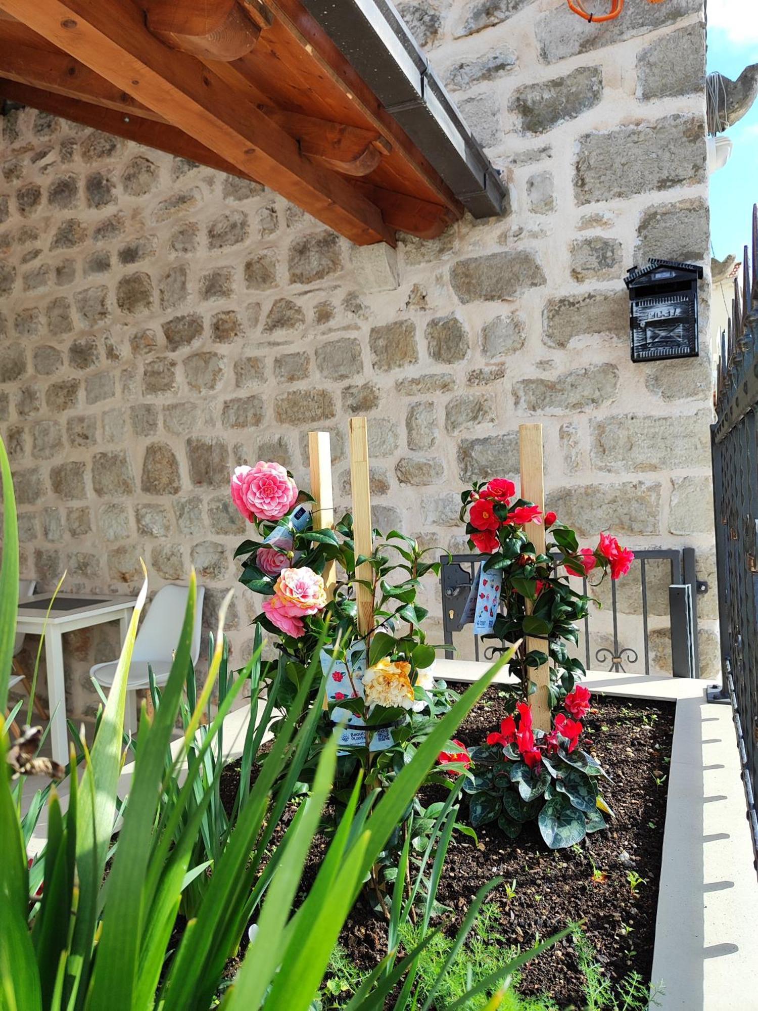 Apartments Harriete Dubrovnik Kültér fotó